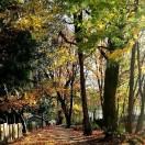 👣凡寒冷清秋🍀