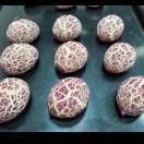 ঞᩚ꧔ꦿ💞*ℳ陳 🌷ঞ