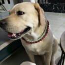 郎剪发艺欢迎您！！