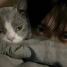 Dexter