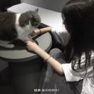 悄漫雾