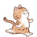 巡光