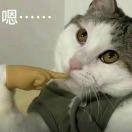 火龙无敌者