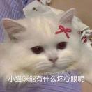 施.