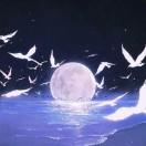 幻海