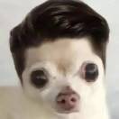 。