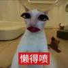 哈哈哈