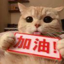 王较瘦