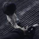 逐风