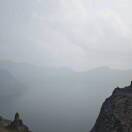 云杉
