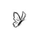 YLiang -
