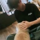 谭上
