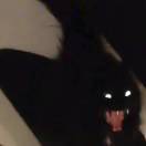 随便