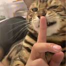 丸