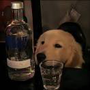 早知如此绊人心 何如当初莫相识