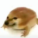 瓜虾茶