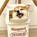 迟迟