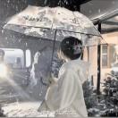 温室雏菊（蛋