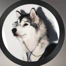 🚬ಇ᭄时来࿆ྃ运转໊࿐