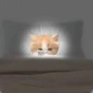 超