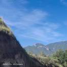 陌年微凉