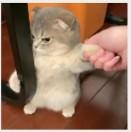 墨辰