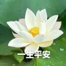 李凤明