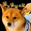 呆饼队长