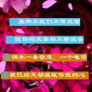 若无相欠，怎会相见