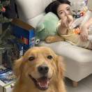 抑绪