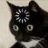 猫猫头