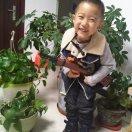 杨健民