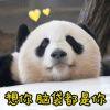 呜呜呜255