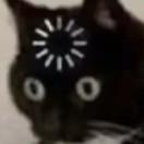👀呆滞