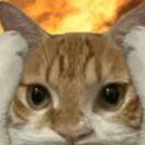 蒼