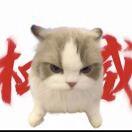 少旭