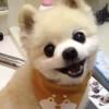 大白