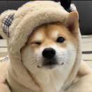 ꕥ᭄时间ꦿঞ