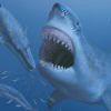 Megalodon