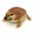 coml