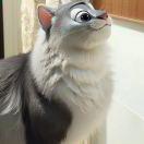 小苍