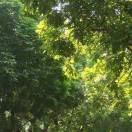 赴春山
