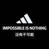 IMPOSSIBLE