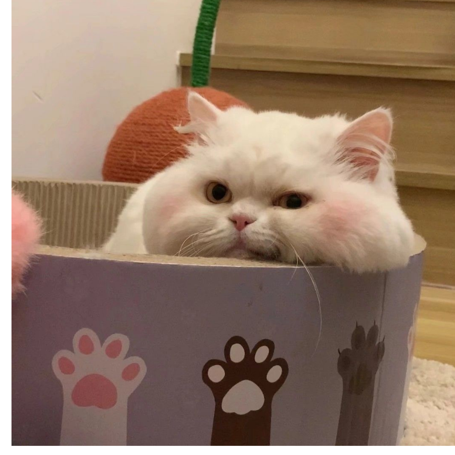 丫丫.