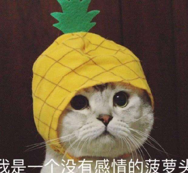 小美丨么得感情