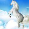 User28128274