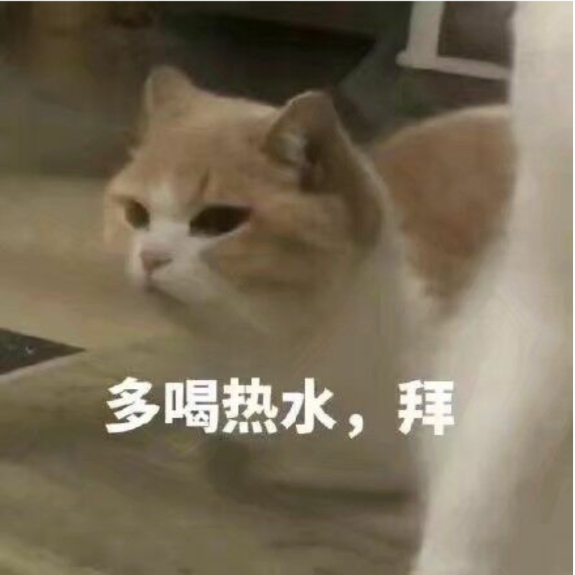 洛言书
