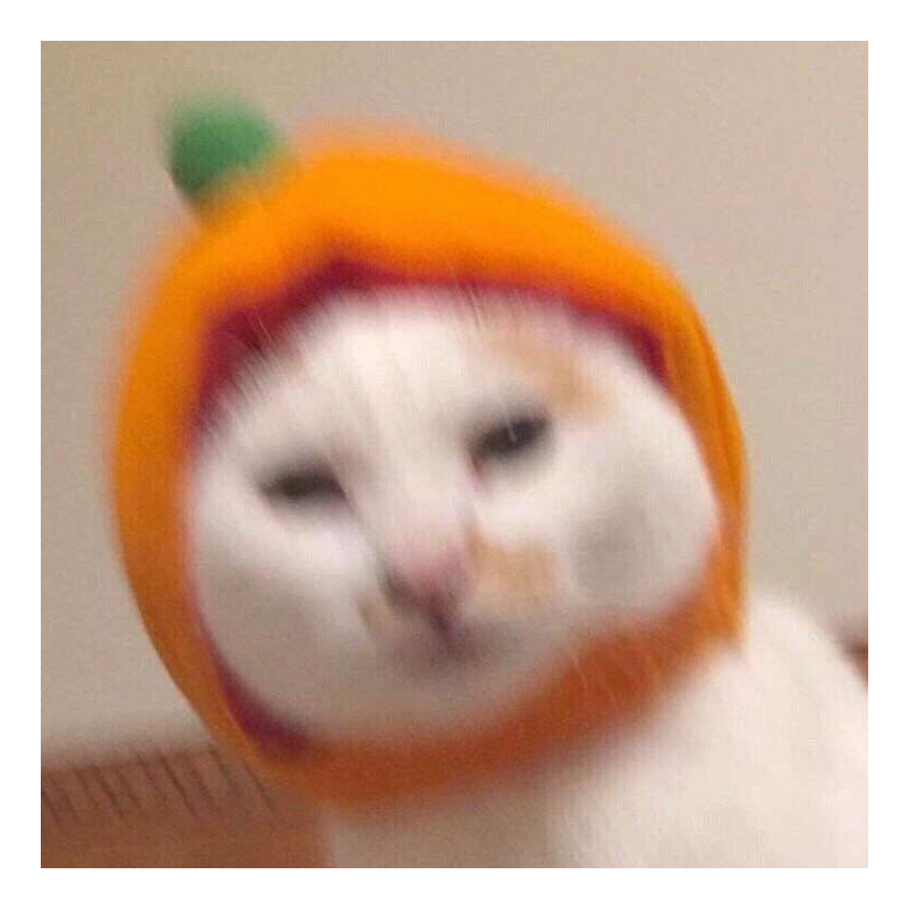 春风十里扬州路丶