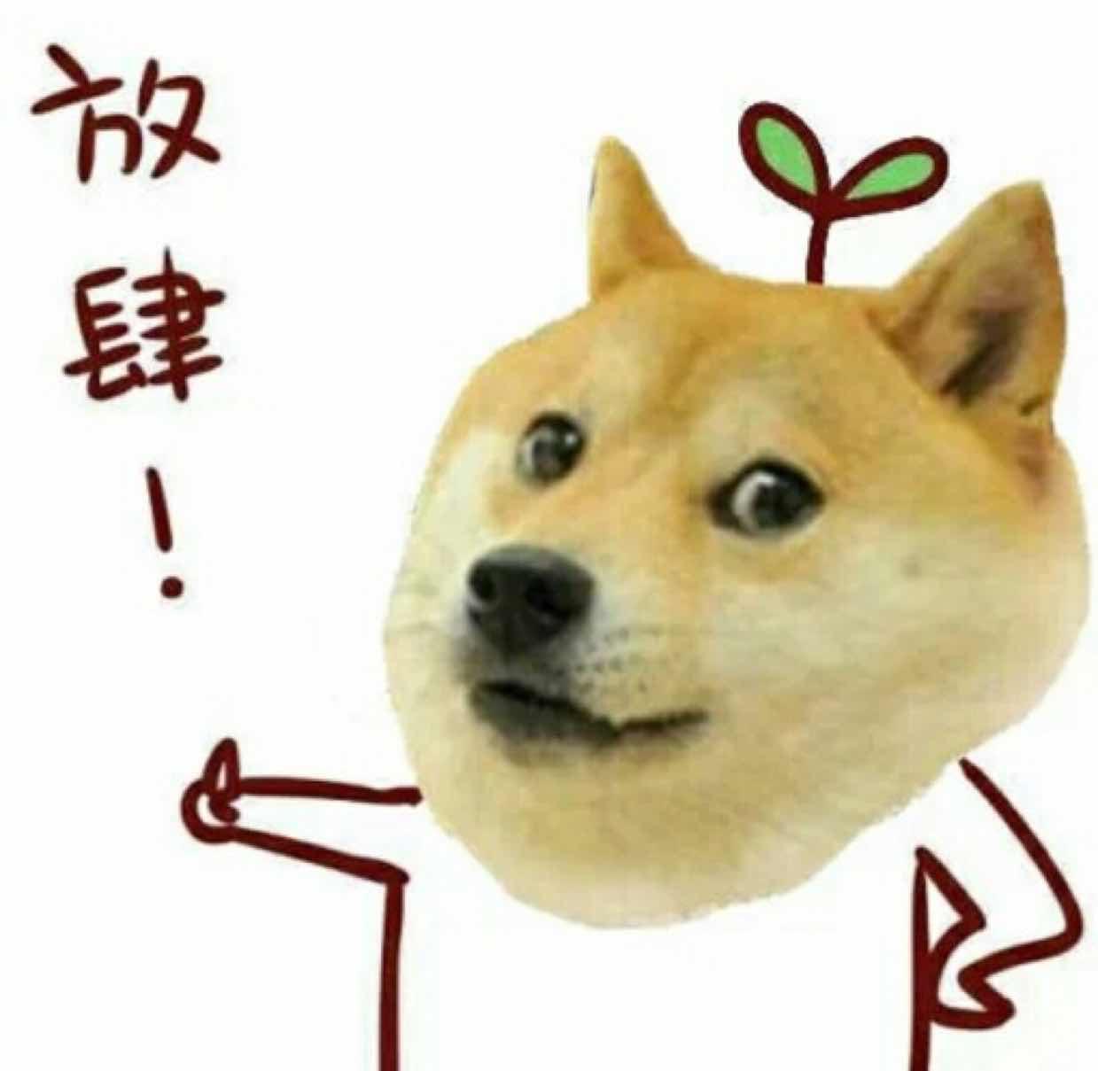 白丝雪糕