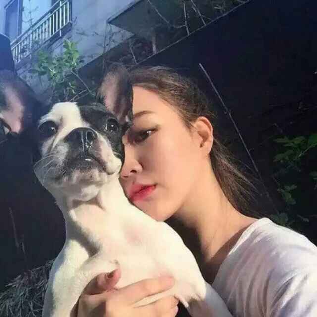 pizy